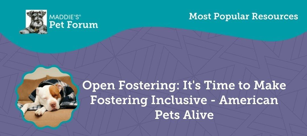 #1 - Open Fostering: It's Time to Make Fostering Inclusive - American Pets Alive
